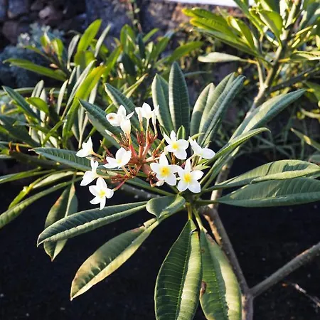 Mana Ecoretreat فندق مبيت وإفطار 5*