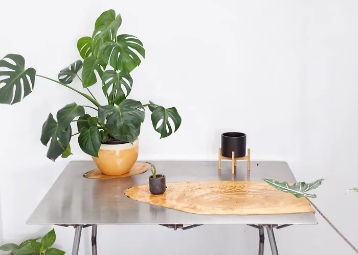 Bed & Breakfast Mana Ecoretreat 5*