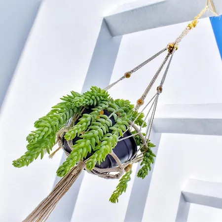 Couette-café Mana Ecoretreat Las Breñas