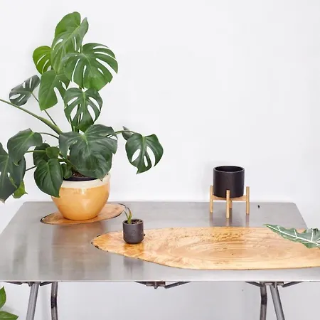 Couette-café Mana Ecoretreat 5*