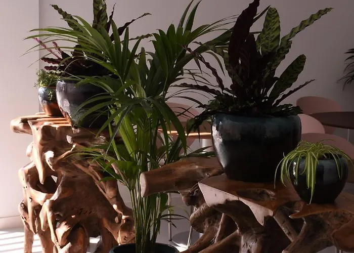 Mana Ecoretreat