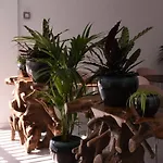 Mana Ecoretreat