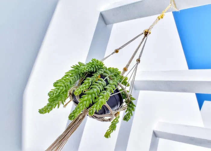 Bed & Breakfast Mana Ecoretreat Las Breñas